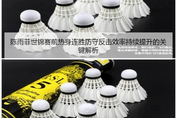 陈雨菲世锦赛前热身连胜防守反击效率持续提升的关键解析